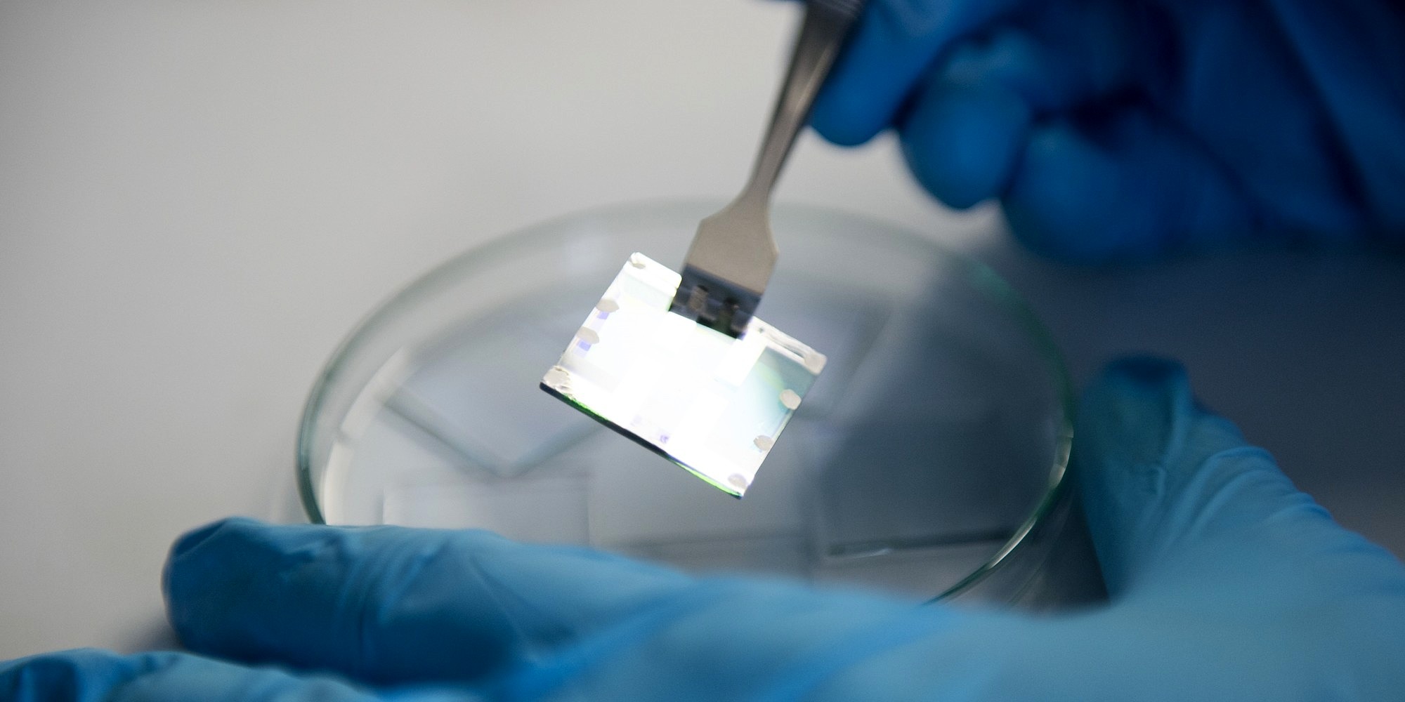 Towards page "Focal Topics"