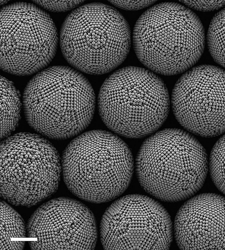 Großer Erfolg für EAM Wissenschaftler: Über 30 Millionen Euro für einen neuen und zwei verlängerte DFG-Sonderforschungsbereiche