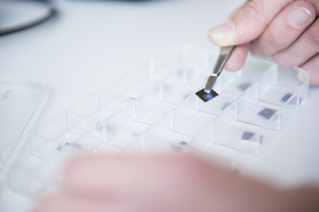 Participating Institutions