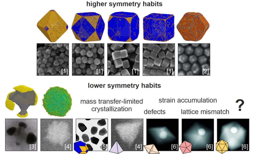 Image of the research of Dr. Carlos Bassani, EAM Starting Grant awardee 2023/2024