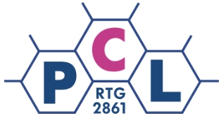 Planar Carbon Lattices RTG 2861